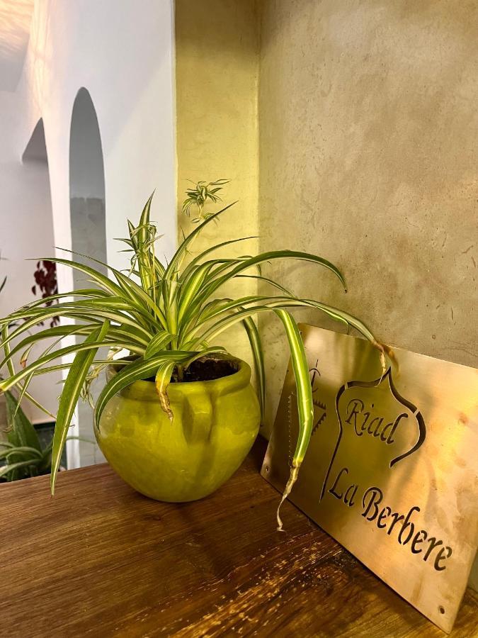 מרקש Riad La Berbere Location En Exclusivite A Marrakech מראה חיצוני תמונה